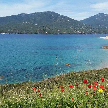 Studio T1 Bis Vue Mer Propriano Проприано Экстерьер фото